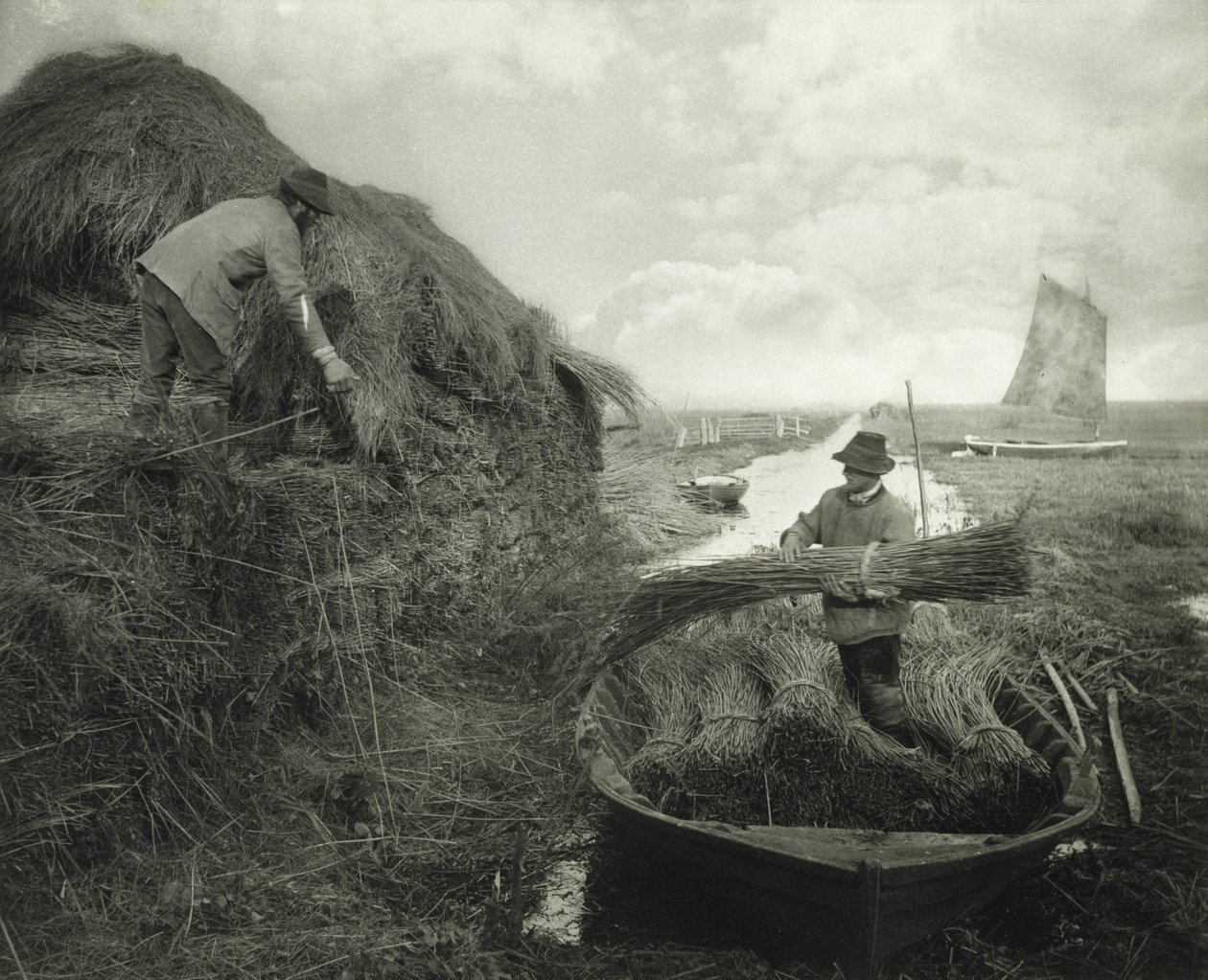 Cosechando el junco, c.1885 de Peter Henry Emerson