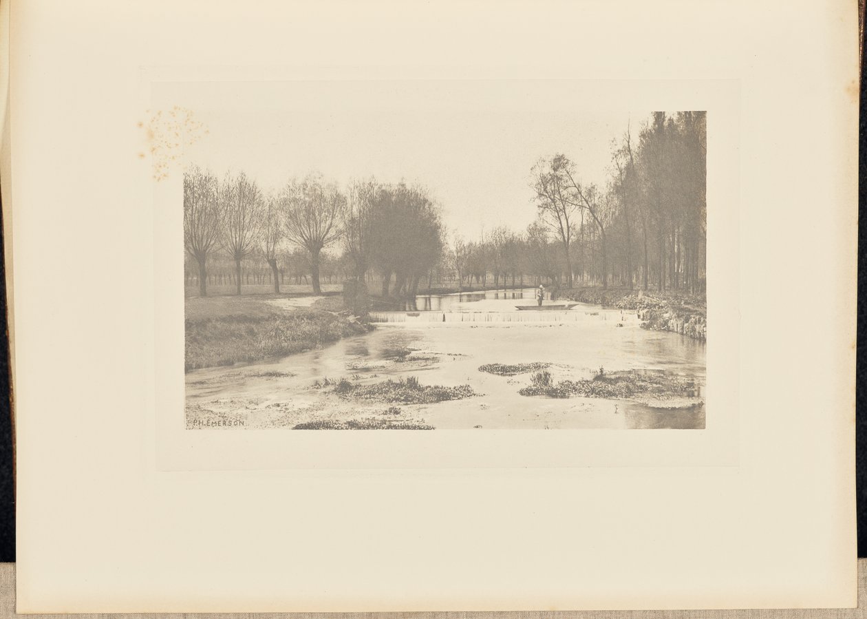 The Shoot, Pesquería de Amwell Magna de Peter Henry Emerson