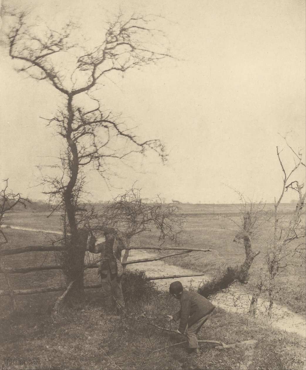 Los cortadores de ramas de Peter Henry Emerson