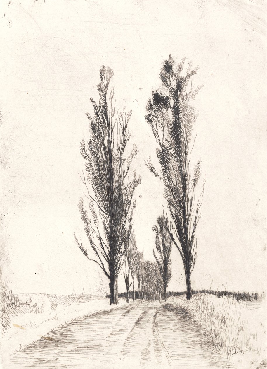 Avenida de álamos de Peter Vilhelm Ilsted