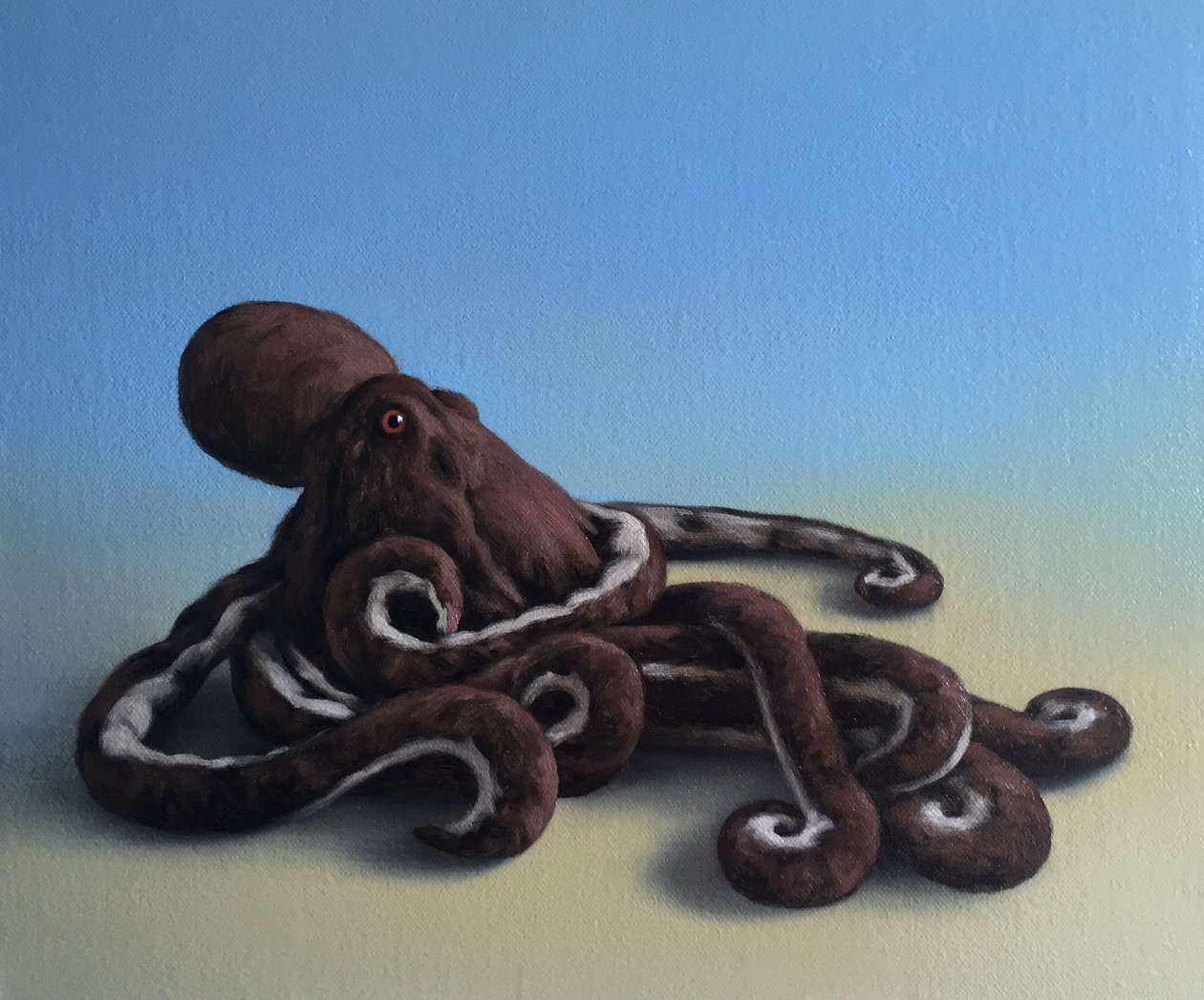 Pulpo, 2016 de Peter Jones