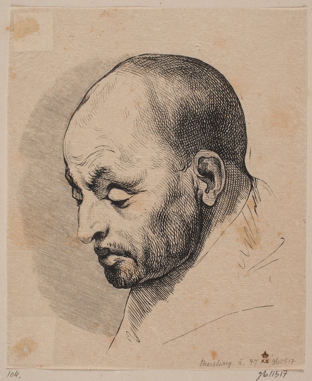 Cabeza de un hombre calvo de Peter Ludvig Meisling