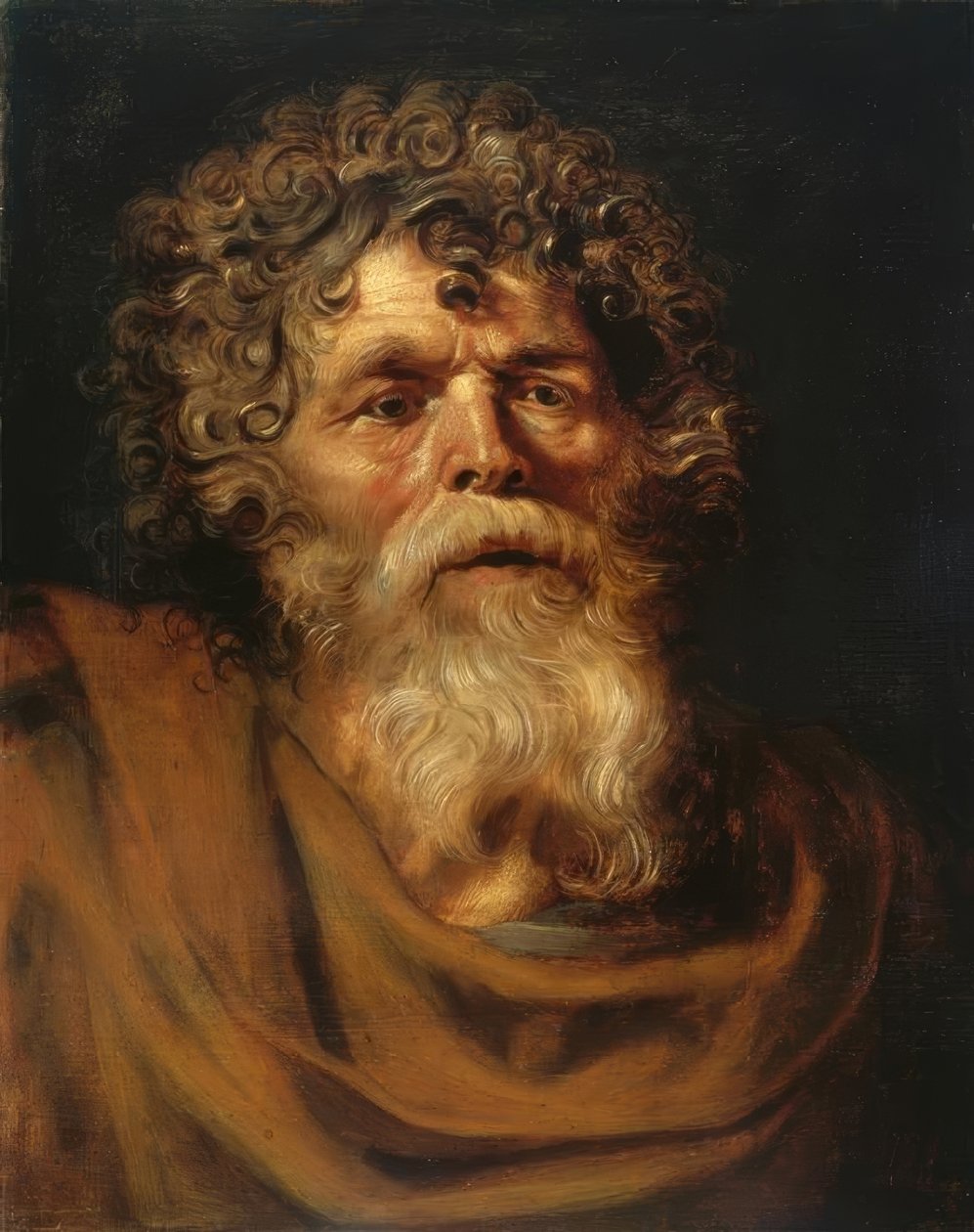 Retrato de un hombre viejo con barba de Peter Paul Rubens