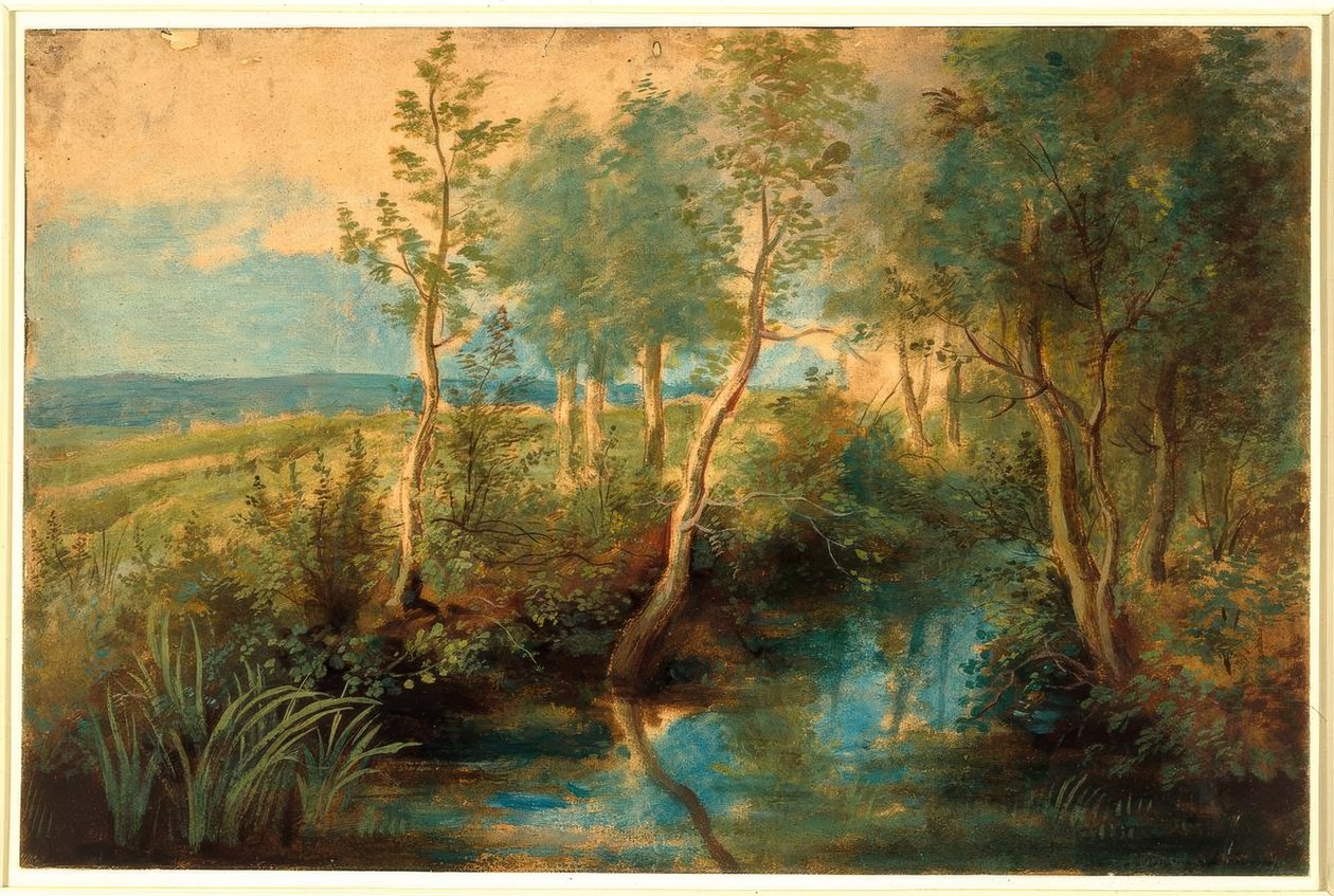 Paisaje con arroyo cubierto de árboles de Peter Paul Rubens