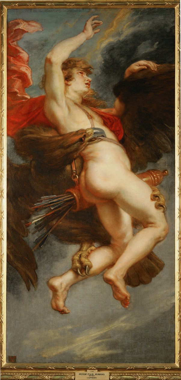 La violación de Ganímedes de Peter Paul Rubens