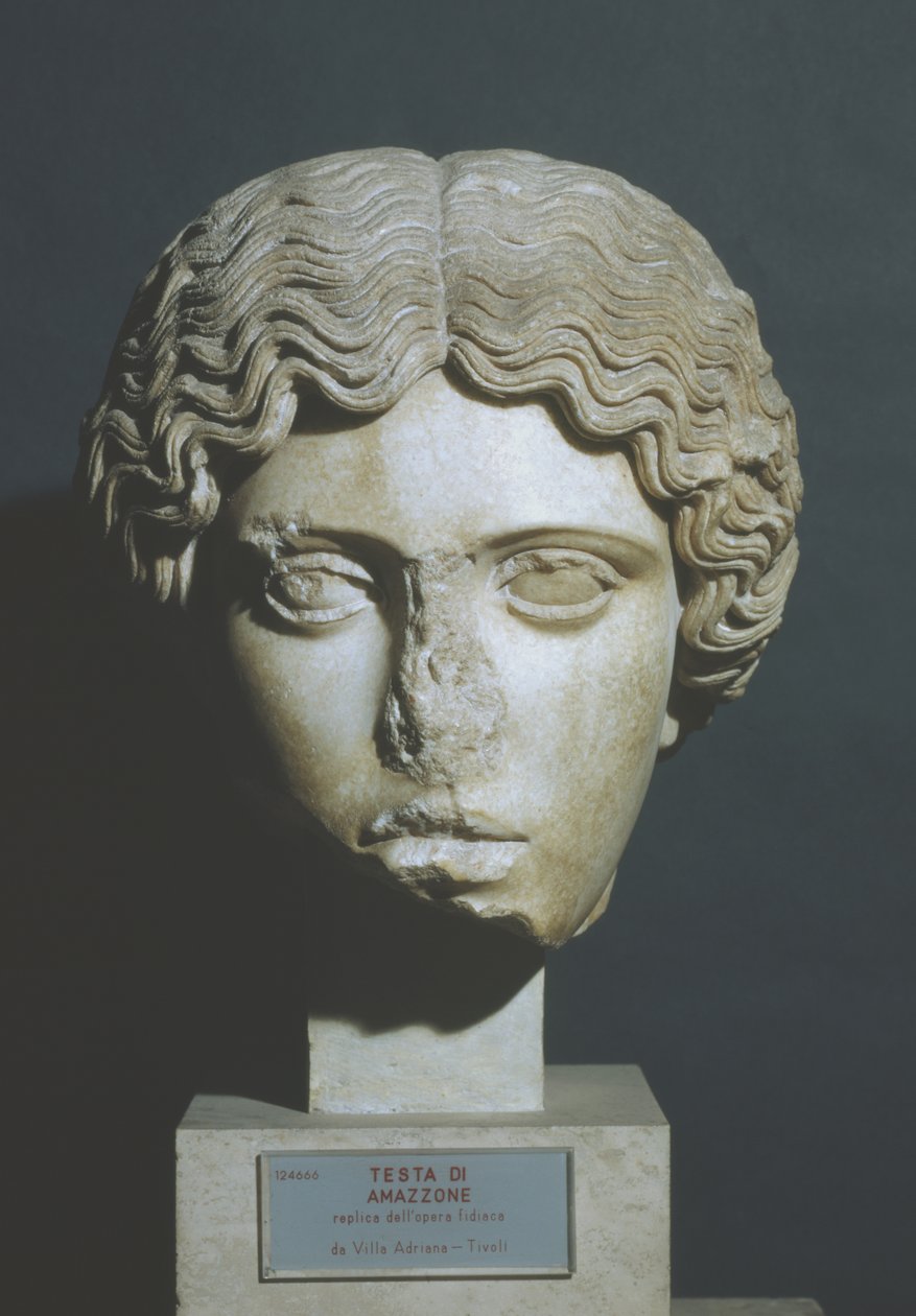 Cabeza de Amazonas de Phidias Phidias