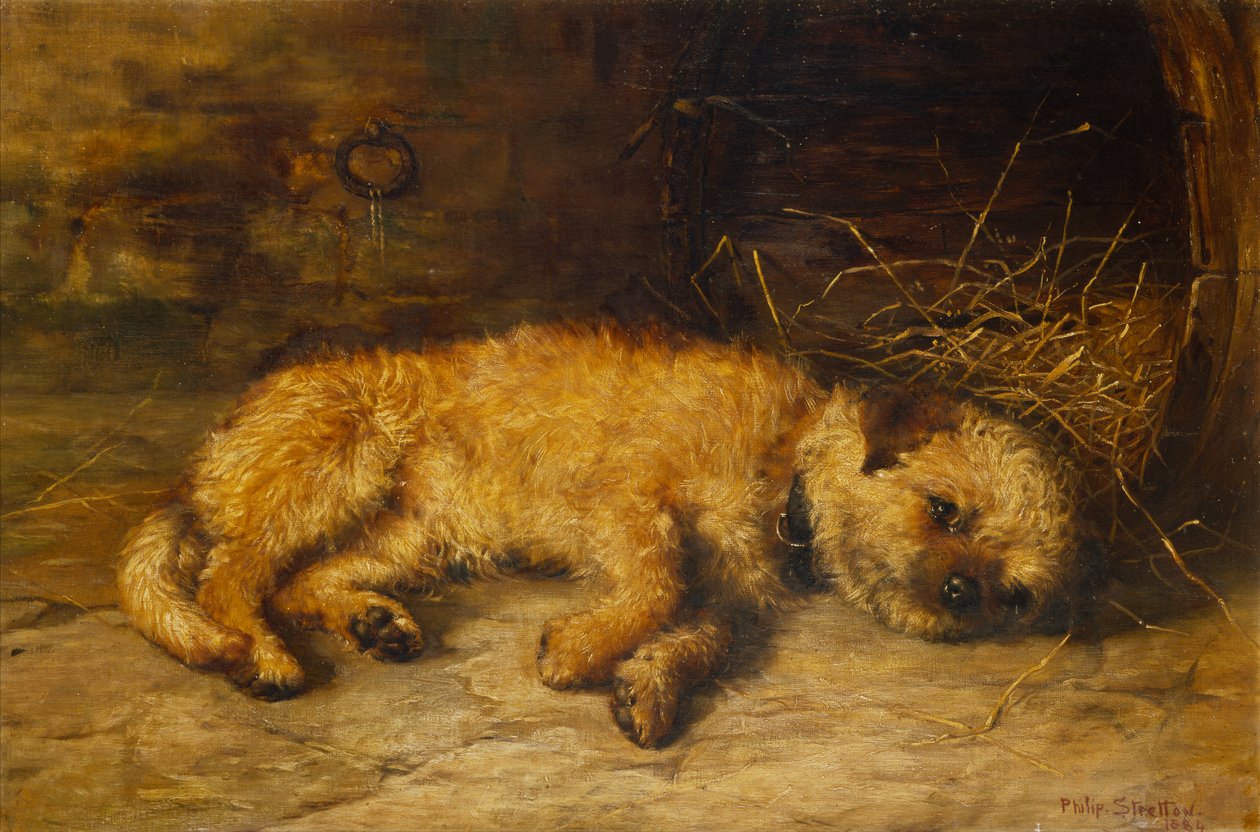 Un Cachorro de Border Terrier de Philip Eustace Stretton