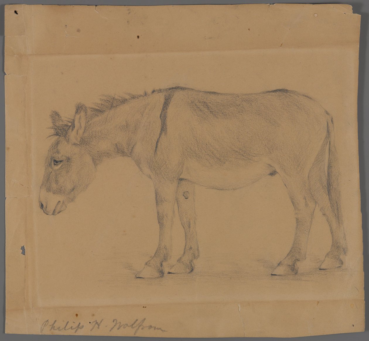Burro de Philip H. Wolfrom