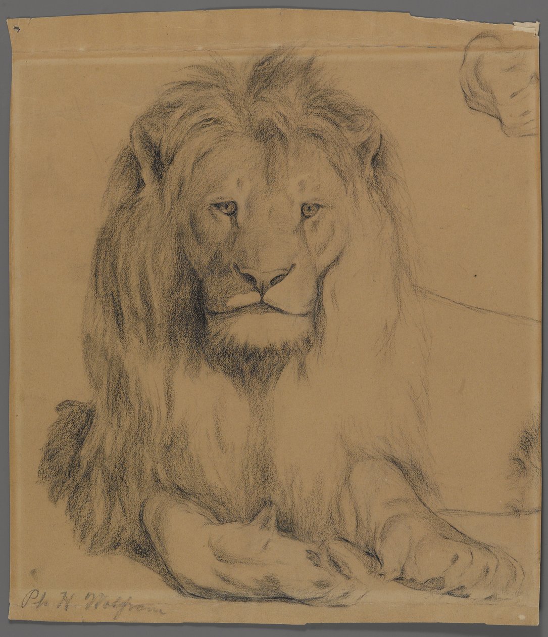 León de Philip H. Wolfrom