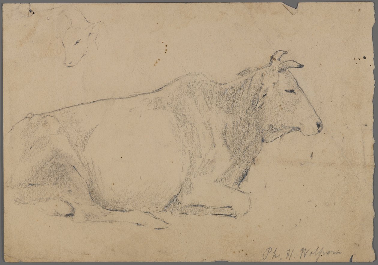 Toro sentado de Philip H. Wolfrom