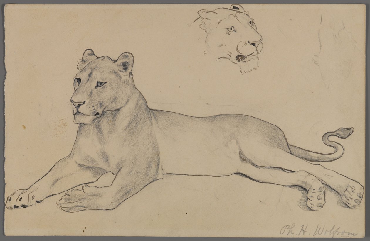 Leona sentada de Philip H. Wolfrom
