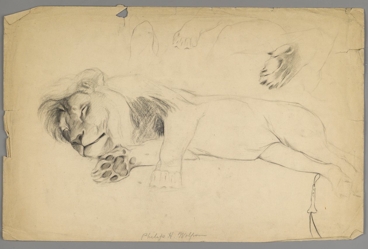 León durmiendo de Philip H. Wolfrom