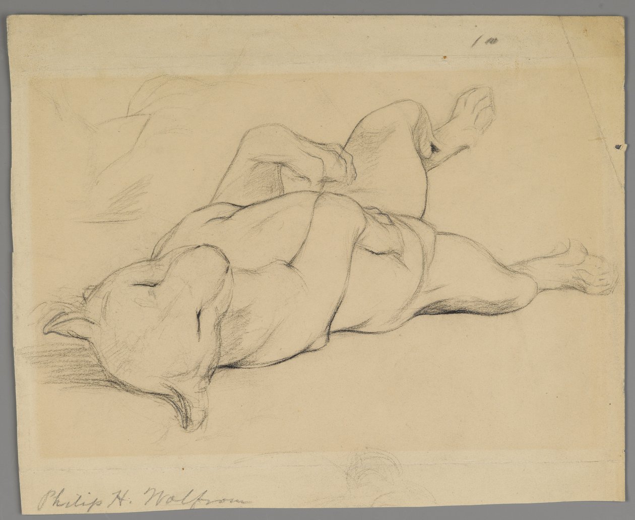 Leona durmiendo de Philip H. Wolfrom