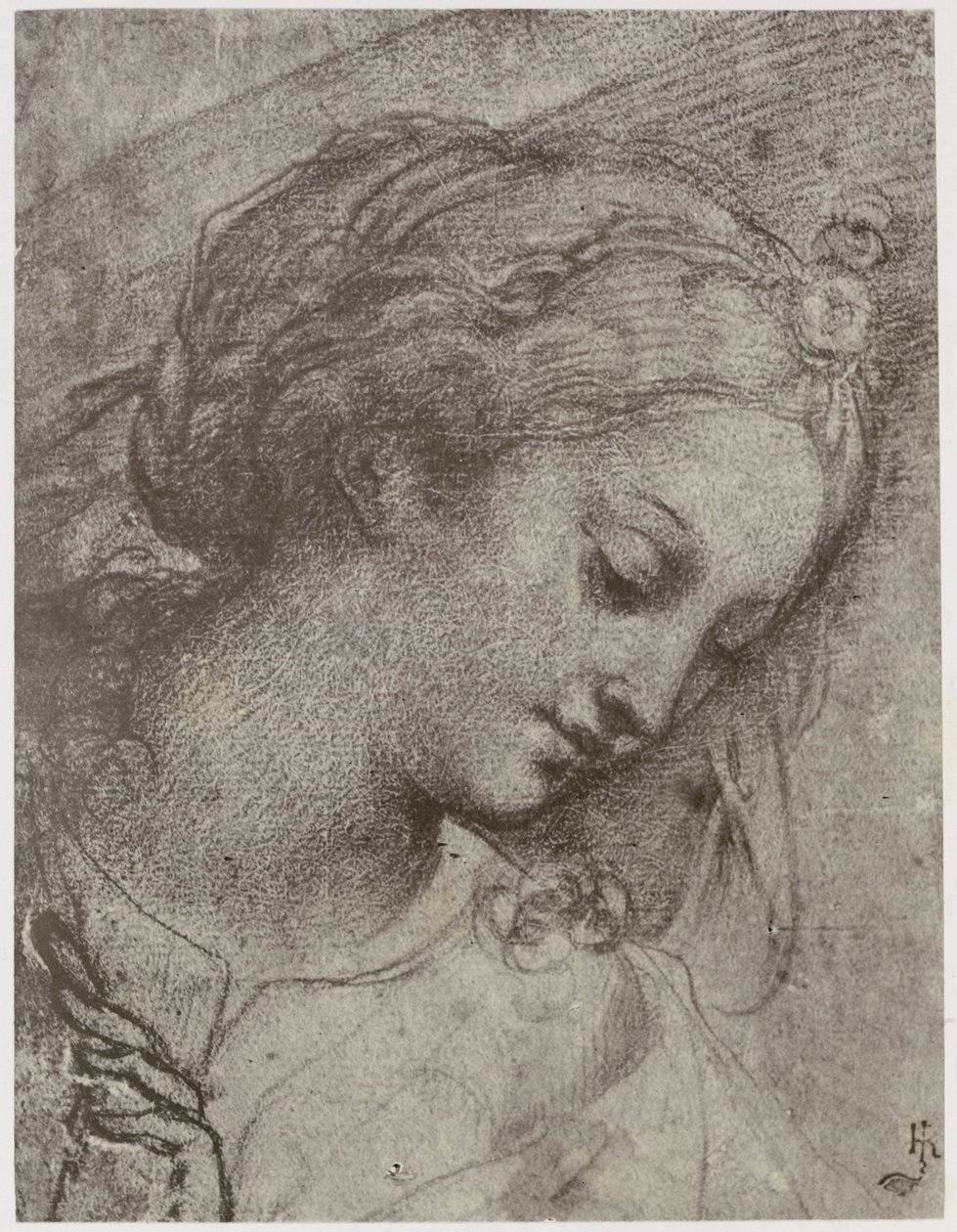 Carlo Dolci, Cabeza de la Virgen de Philip Henry Delamotte