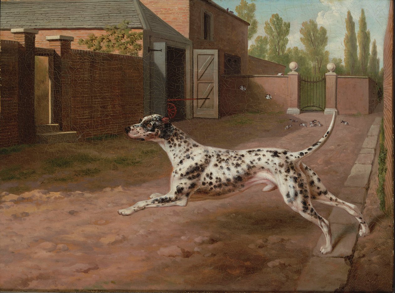 Un dálmata corriendo en un patio de establo de Philip Reinagle