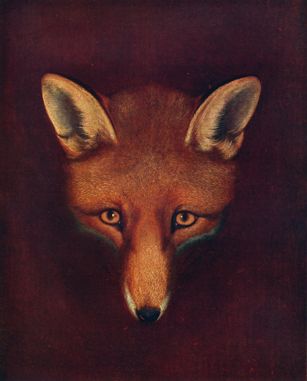 Renard el zorro, c1800, 1922 de Philip Reinagle