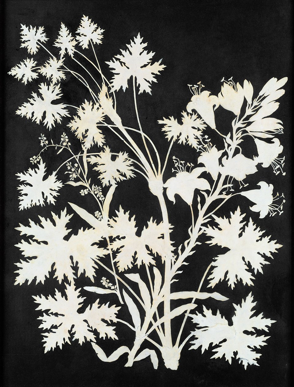 Flores en silueta de Philipp Otto Runge