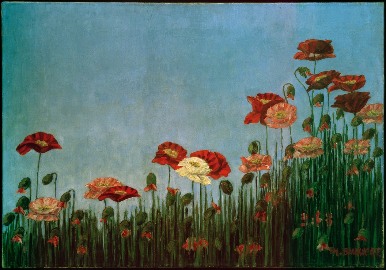 Amapolas de Philipp Bauknecht