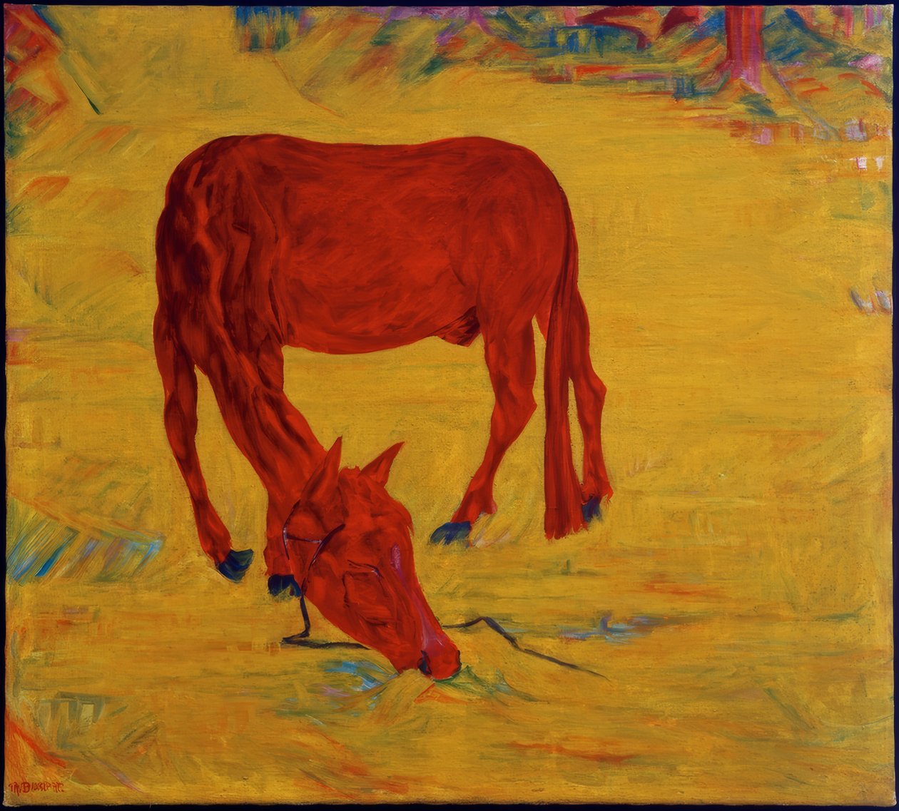 Caballo en libertad de Philipp Bauknecht