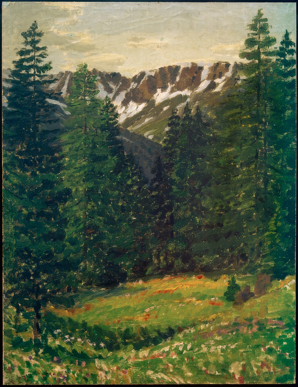 Paisaje forestal de Philipp Bauknecht
