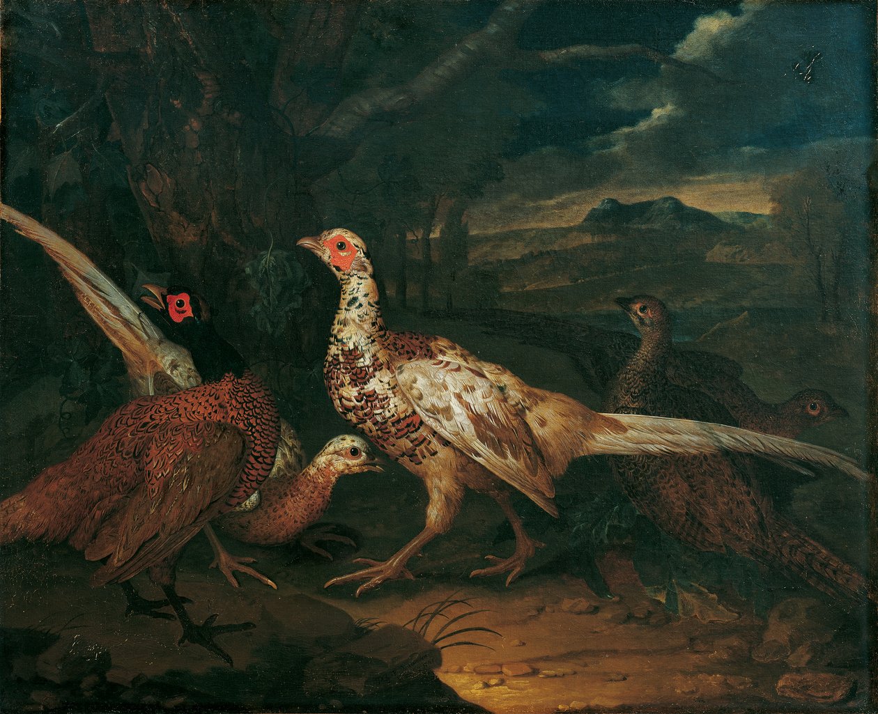 acosar de Philipp Ferdinand de Hamilton