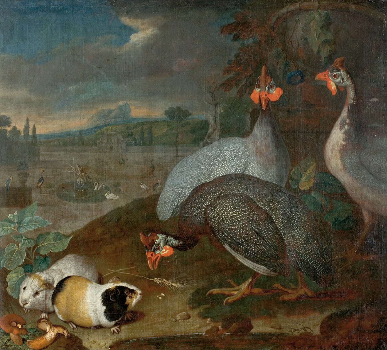 Gallina de Guinea con cuyes de Philipp Ferdinand de Hamilton