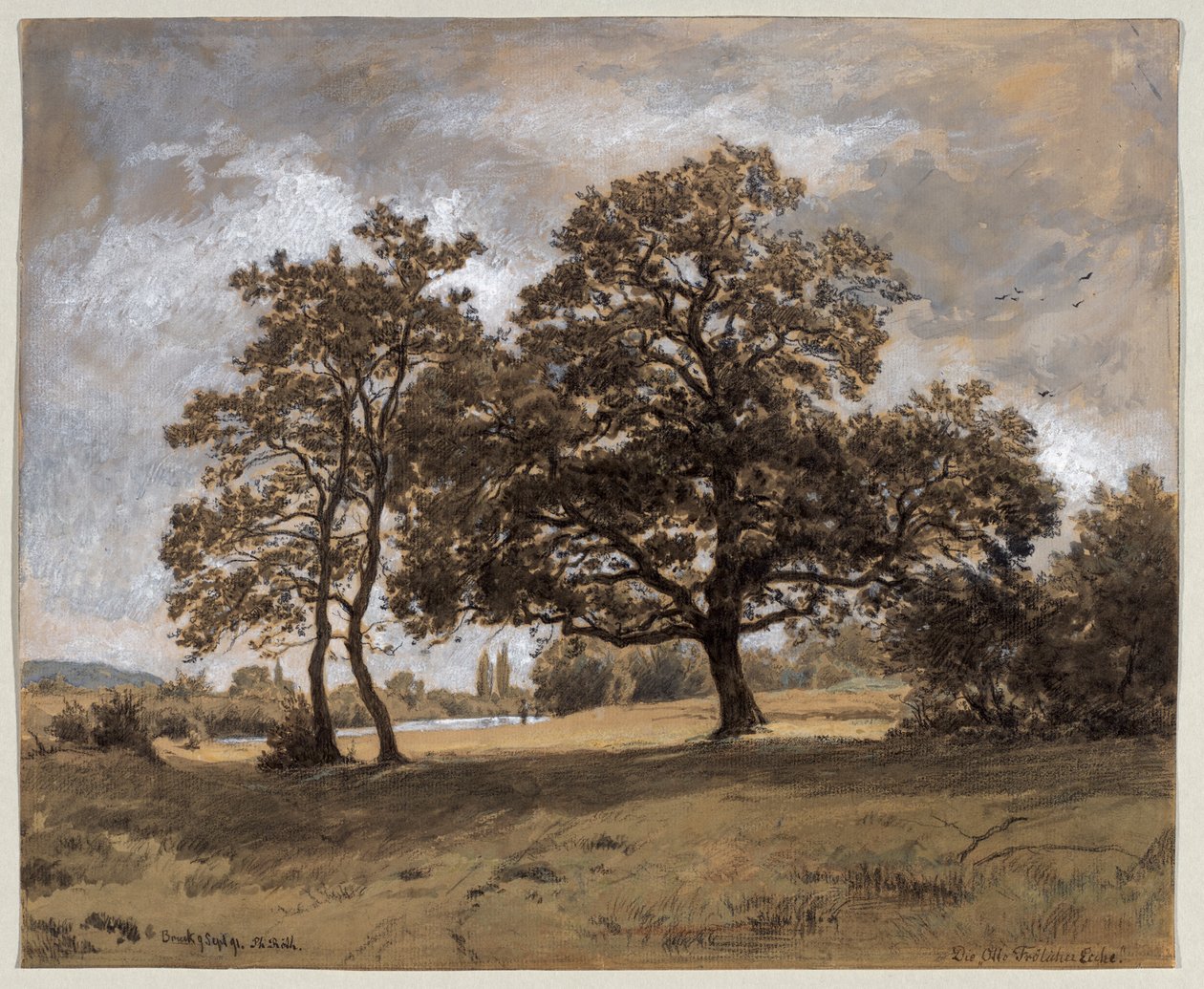 El roble Otto Fröhlicher de Philipp Röth