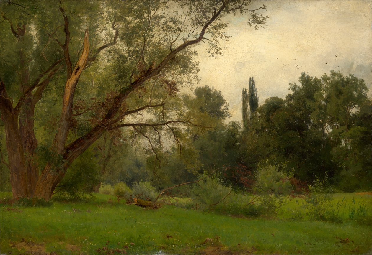 En el parque de Kleinheubach am Main de Philipp Röth