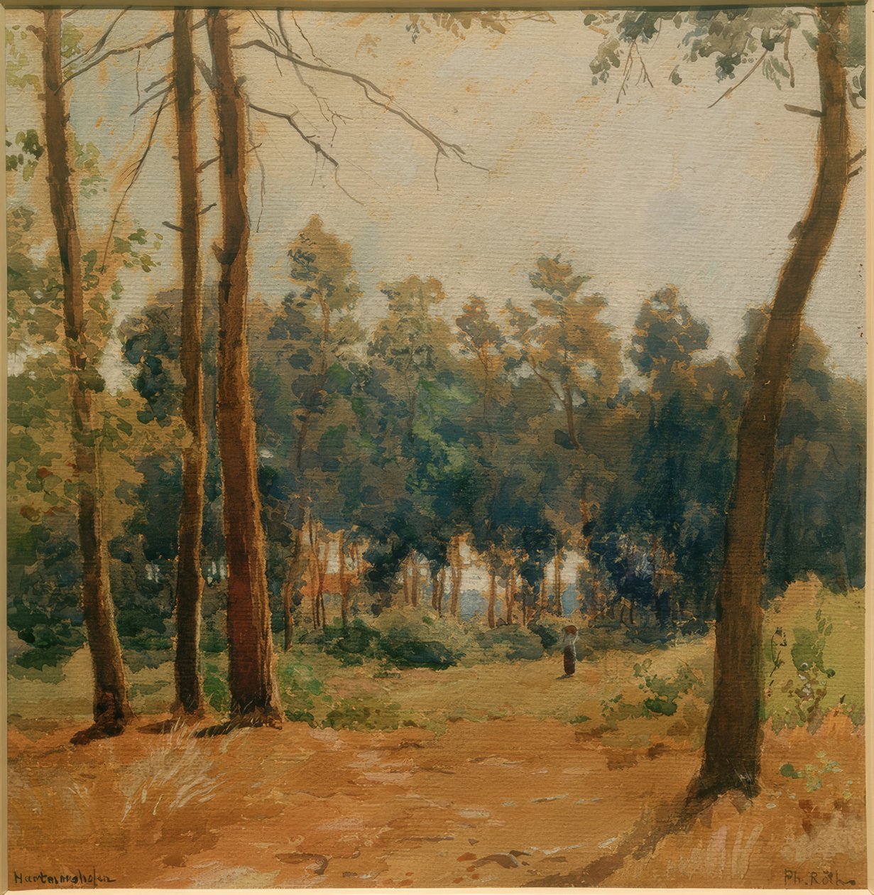 Paisaje forestal en Hartmannshofen de Philipp Röth