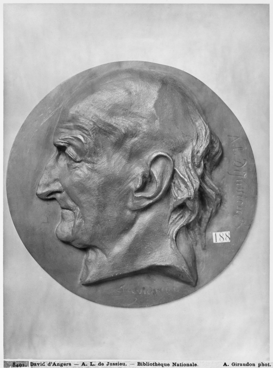 Antoine Laurent de Jussieu de Pierre Jean David d