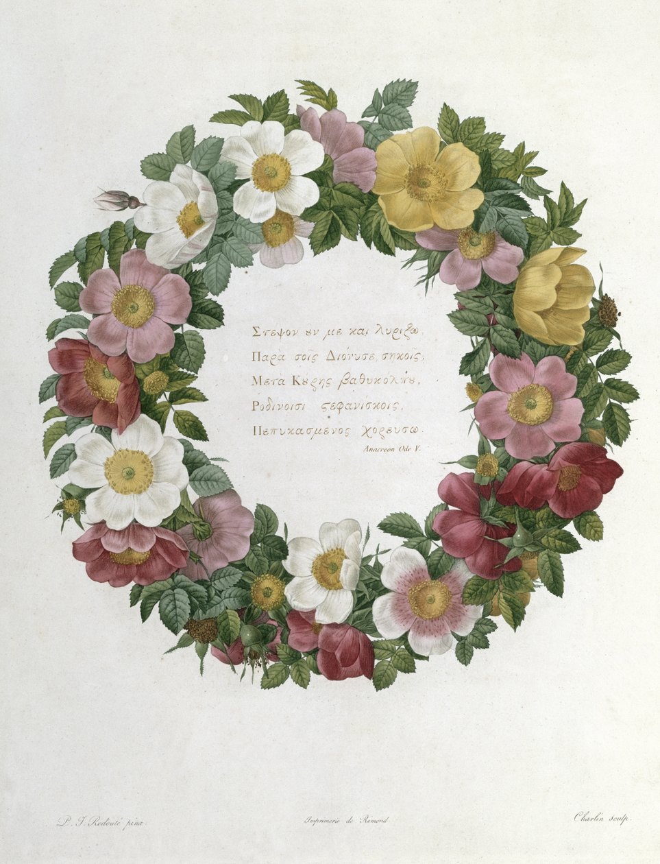 Rosas de Navidad de Pierre Joseph Redouté
