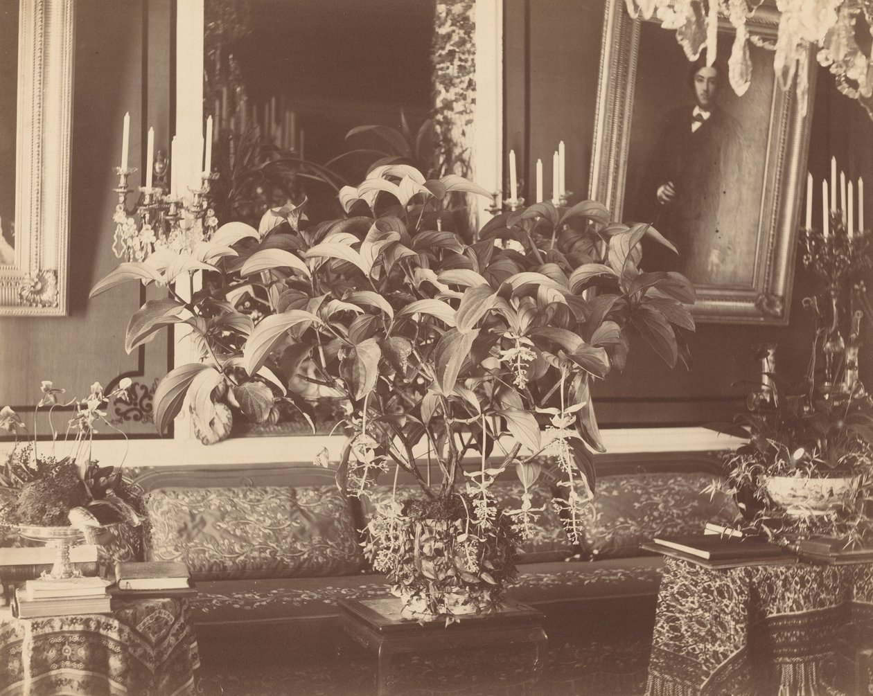 Interior, 1860s de Pierre Ambrose Richebourg