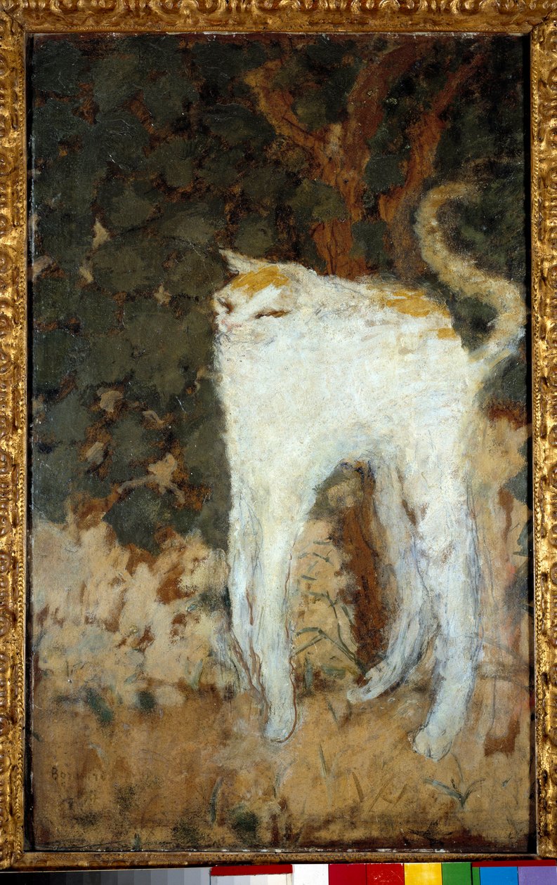 El gato blanco de Pierre Bonnard