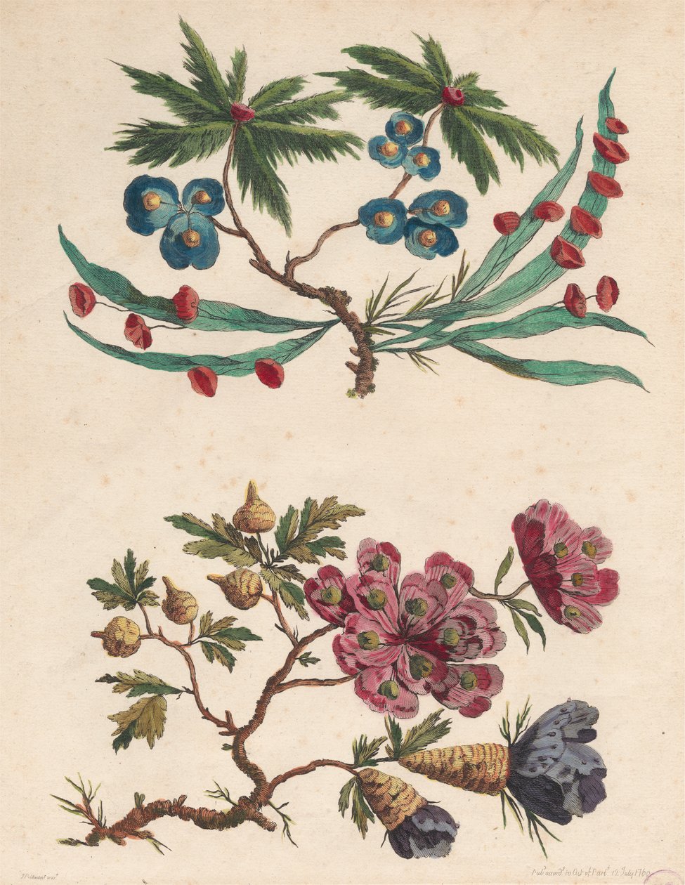 Dos ramilletes de flores imaginarias de Pierre Charles Canot