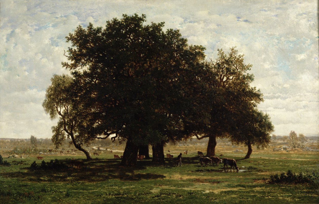 Encinas, Apremont, 1850-52 de Pierre Etienne Theodore Rousseau