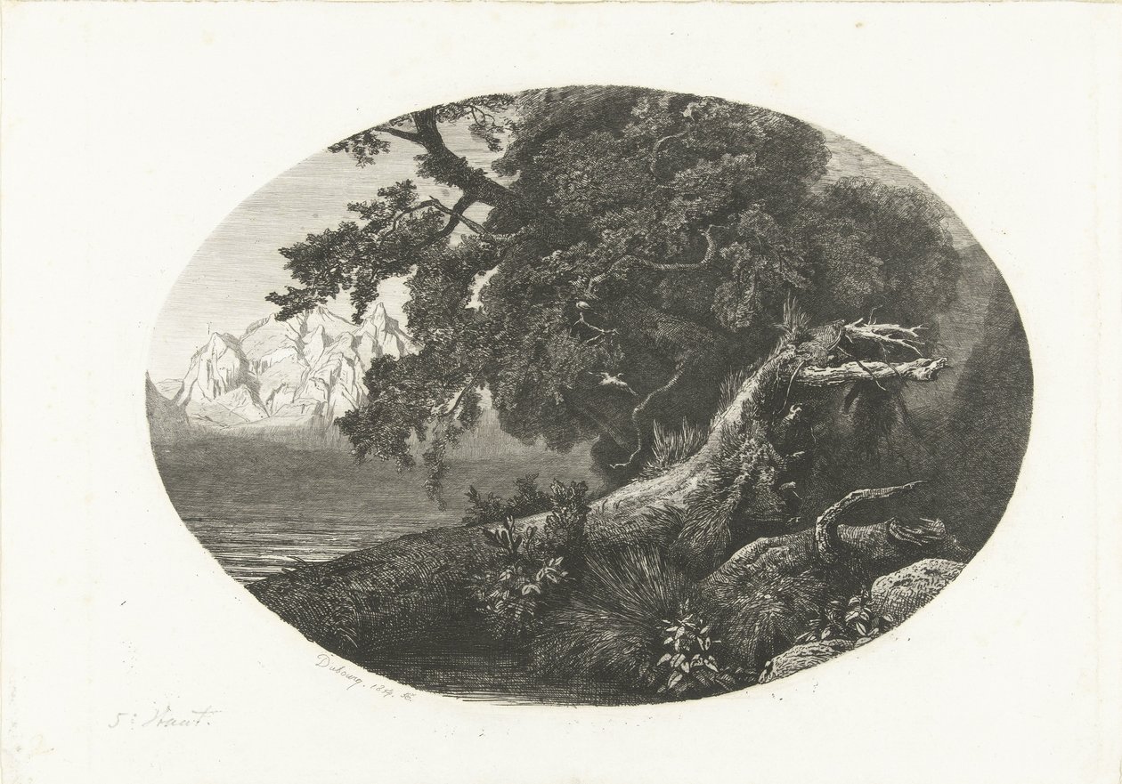 Tronco de árbol desarraigado en la costa de Pierre Louis Dubourcq