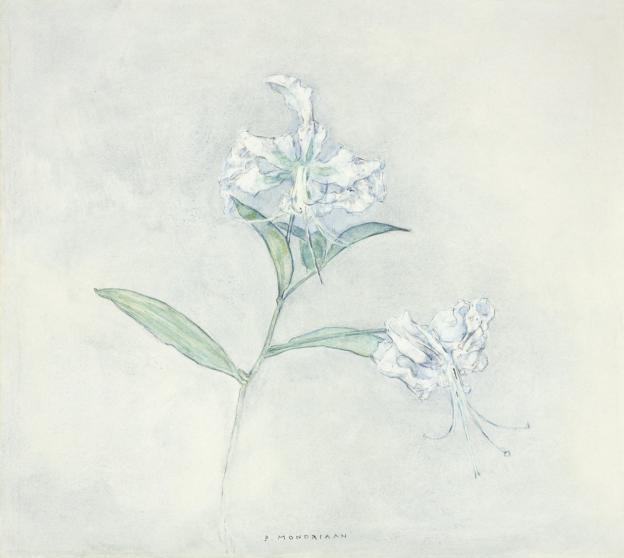 Dos lirios japoneses de Piet Mondrian