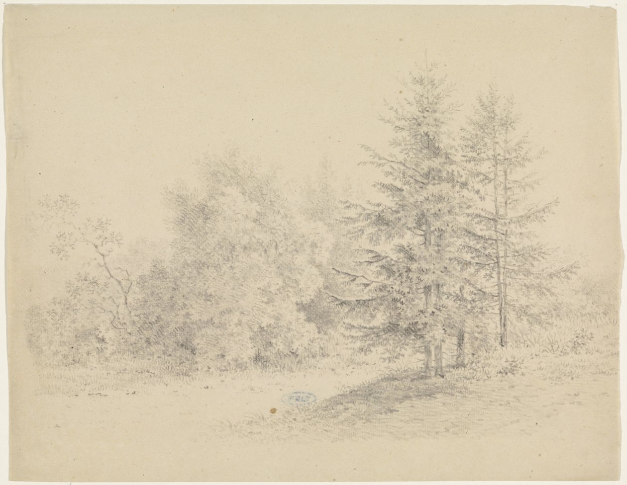 Vista al bosque con pinos de Pieter Bartholomeusz. Barbiers