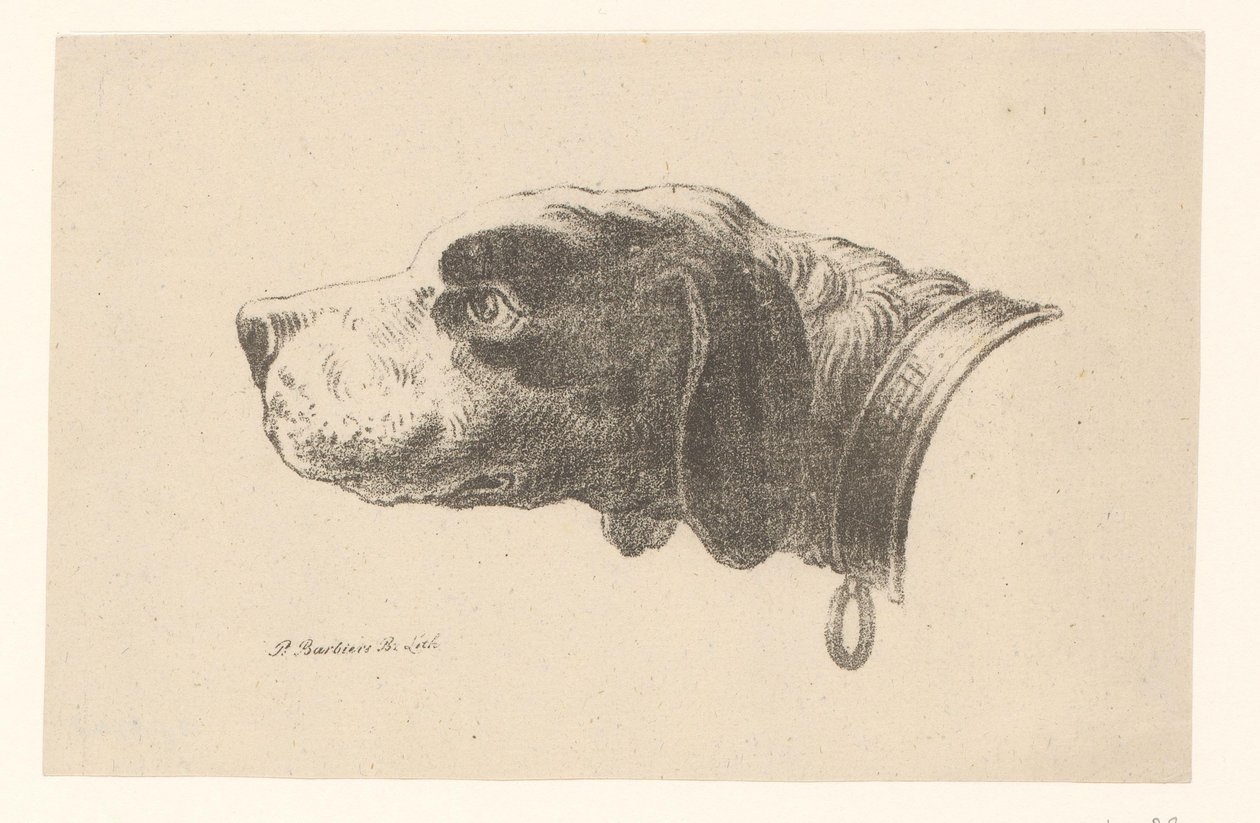 cabeza de perro con collar de Pieter Bartholomeusz. Barbiers