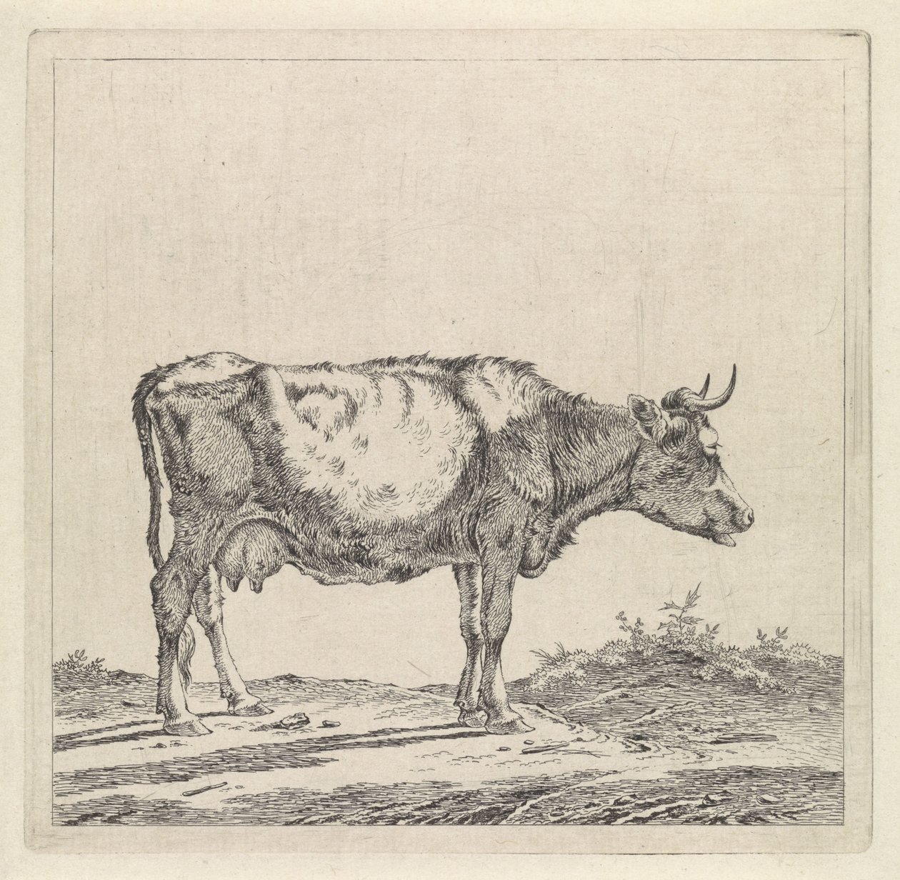 Paisaje con una vaca en el paseo marítimo de Pieter Janson