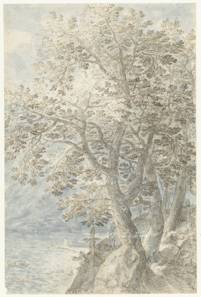 Árboles en la pared de roca escarpada de Pieter Stevens (I)