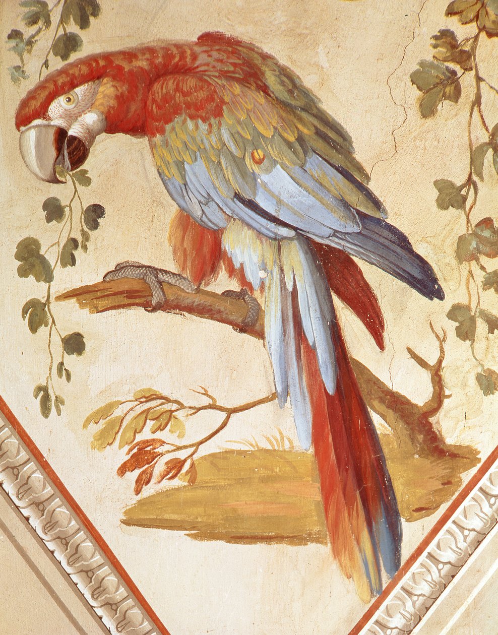Un loro (mural) de Pietro Rotati