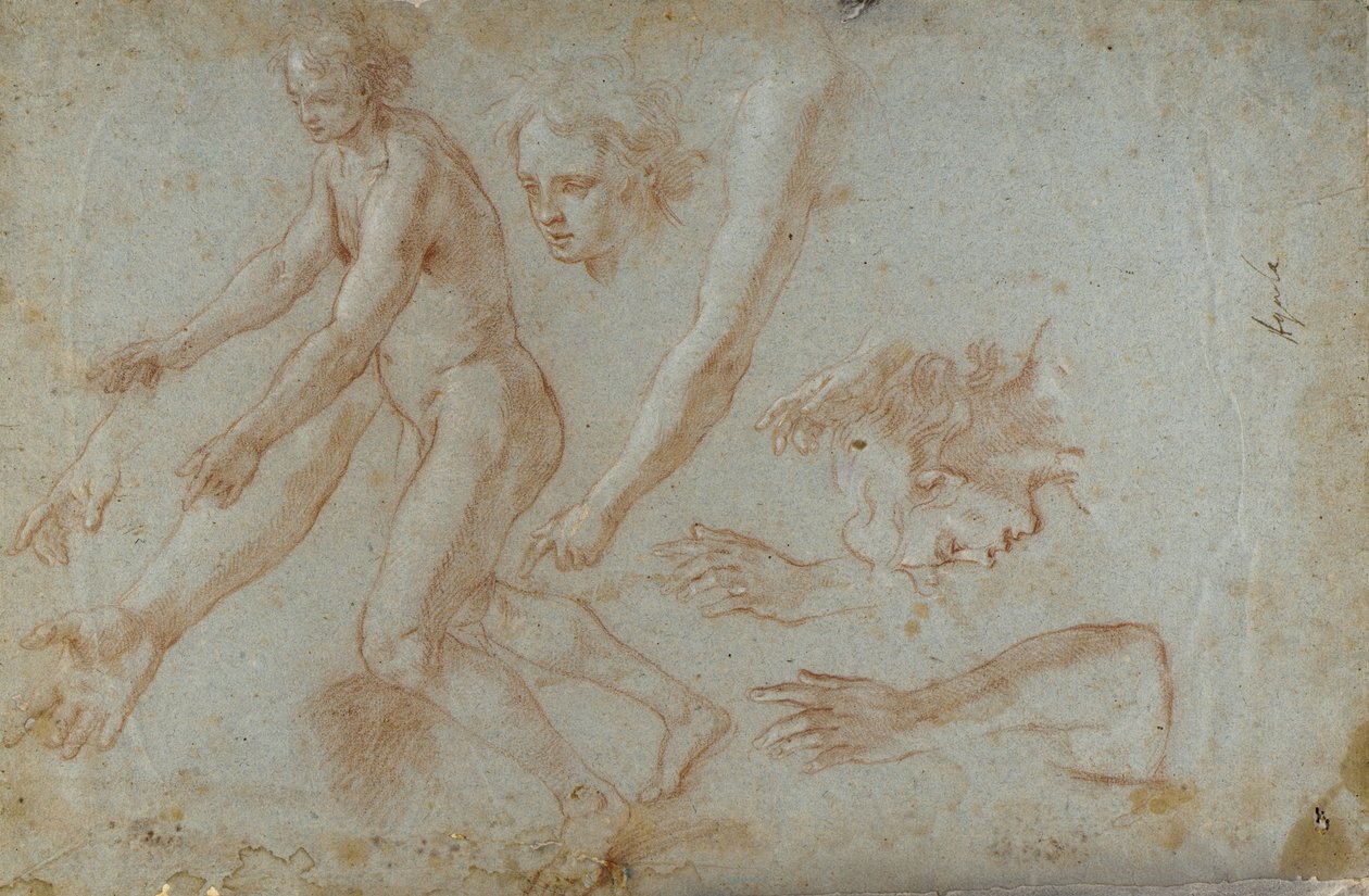Dibujo de Pietro Aquila