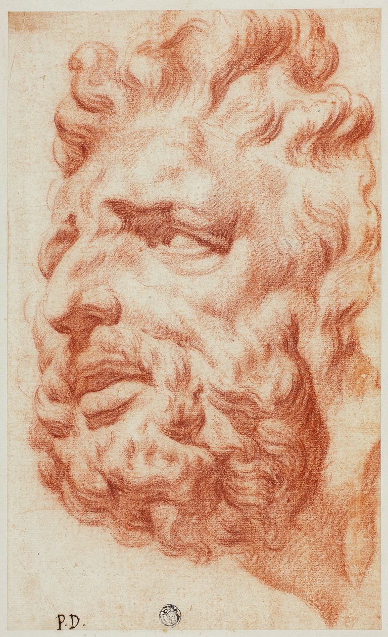 Jefe de Laocoonte de Pietro Dandini