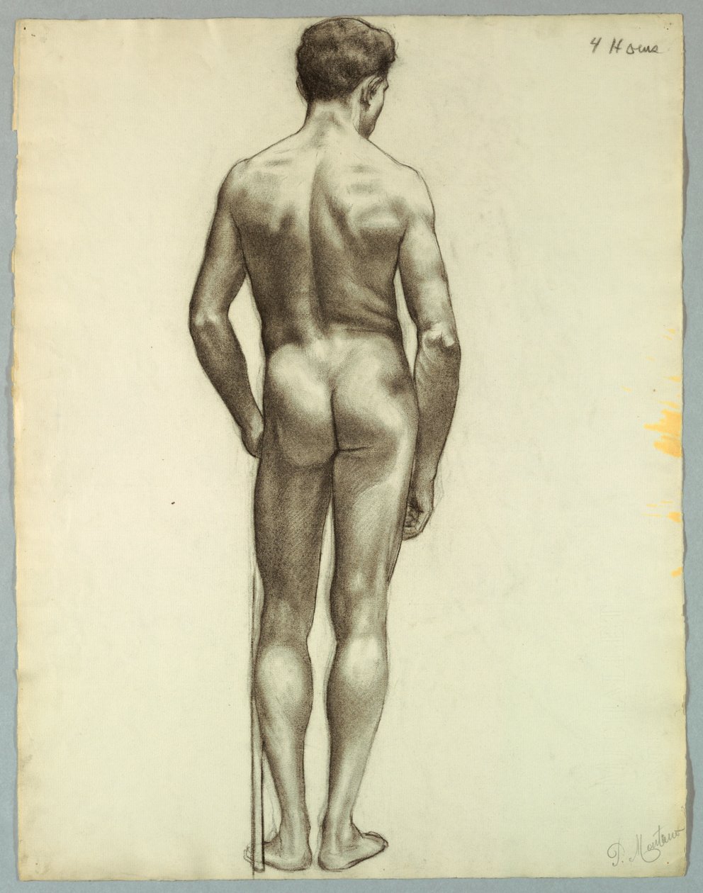 Desnudo masculino de pie visto desde atrás de Pietro Montana