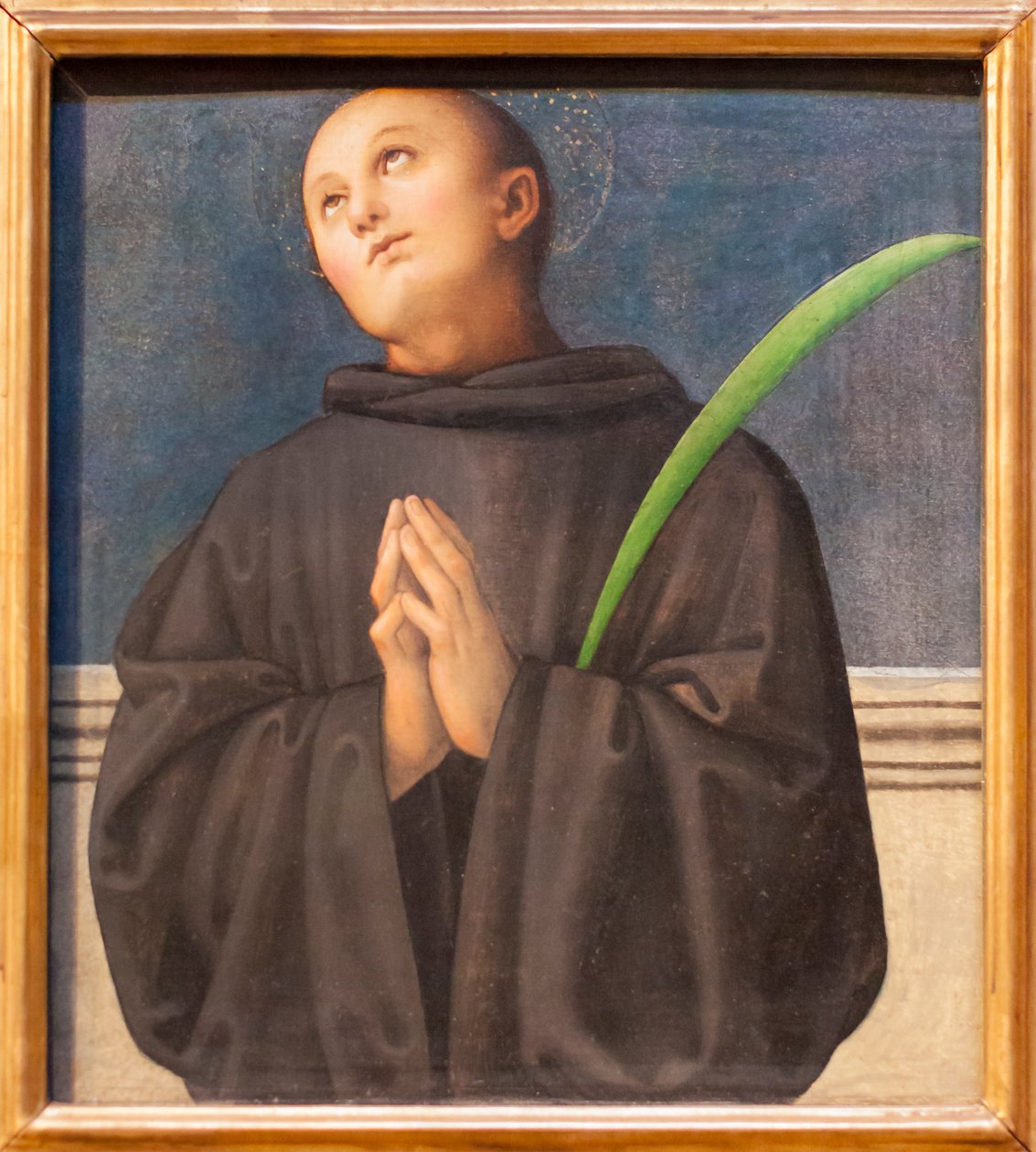 San Placido (óleo sobre madera) de Pietro Perugino
