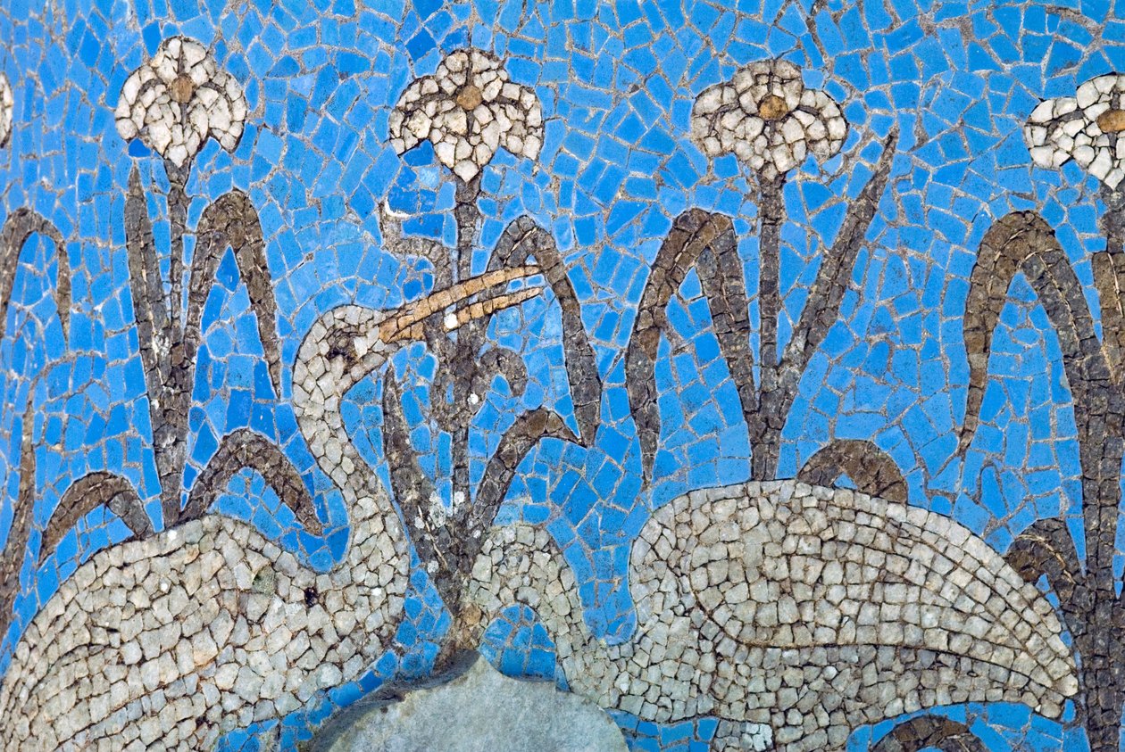 Diseño de pájaro de Portuguese School