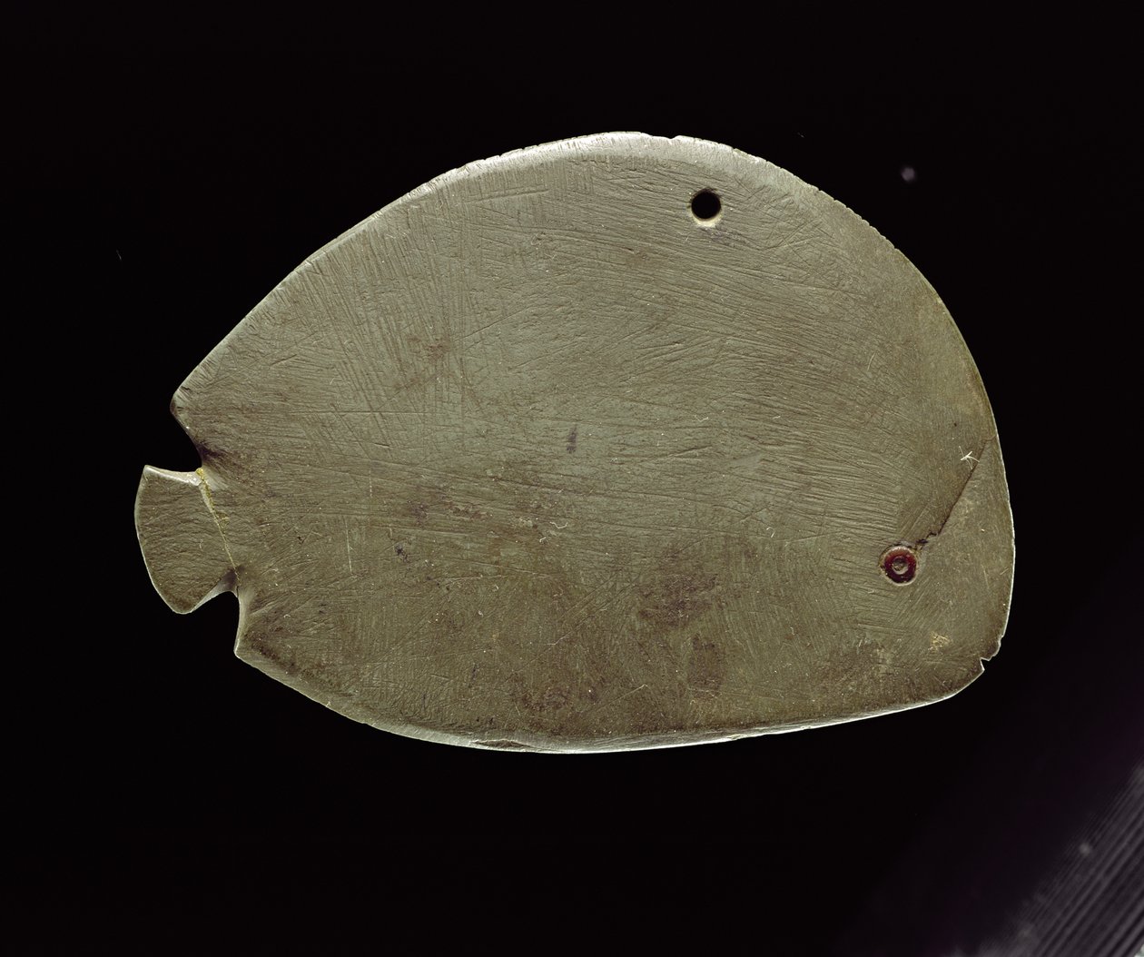 Paleta de pez, c.3200 a.C. de Predynastic Period Egyptian
