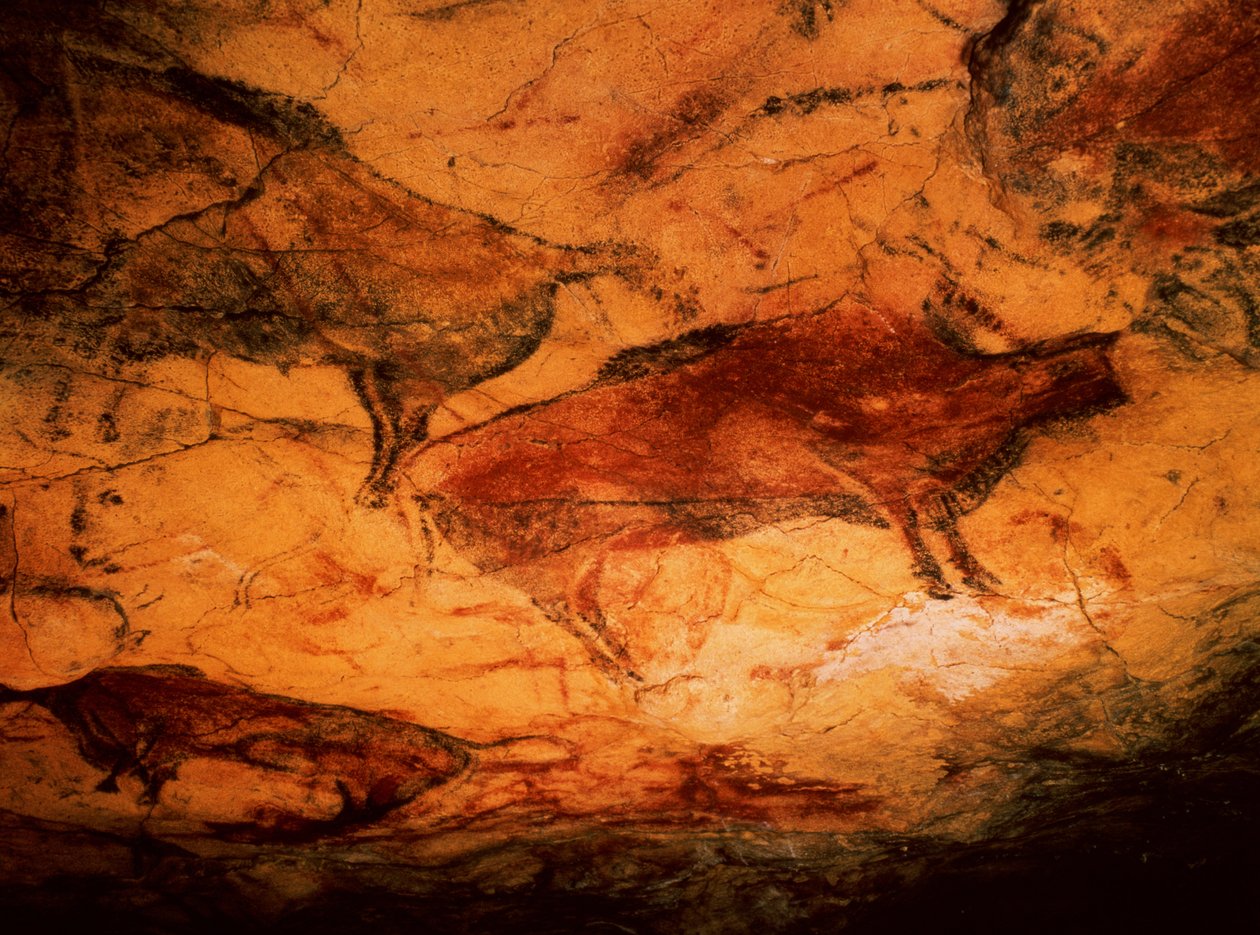 Bisonte de las cuevas de Altamira, c.15000 a.C. (pintura rupestre) de Prehistoric