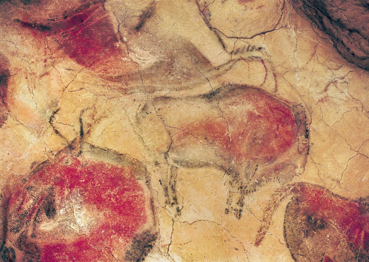 Bisontes, de las Cuevas de Altamira, c.15000 a.C. de Prehistoric